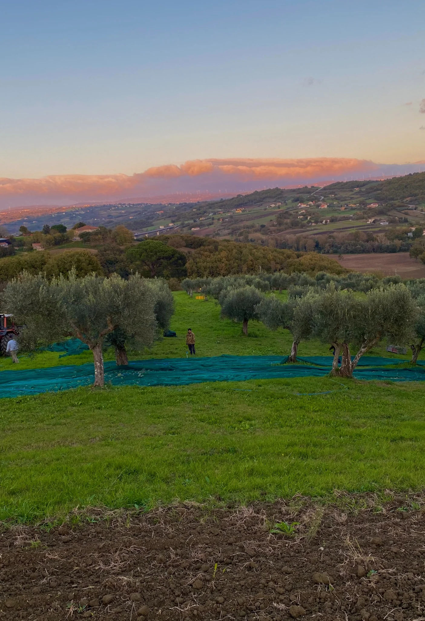 Paesaggio agricolo italiano